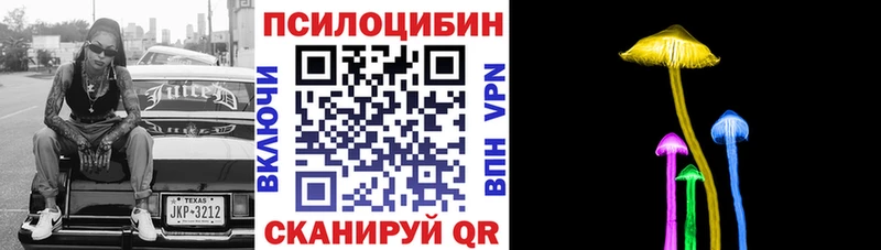 Галлюциногенные грибы Psilocybine cubensis  Славянск-на-Кубани 