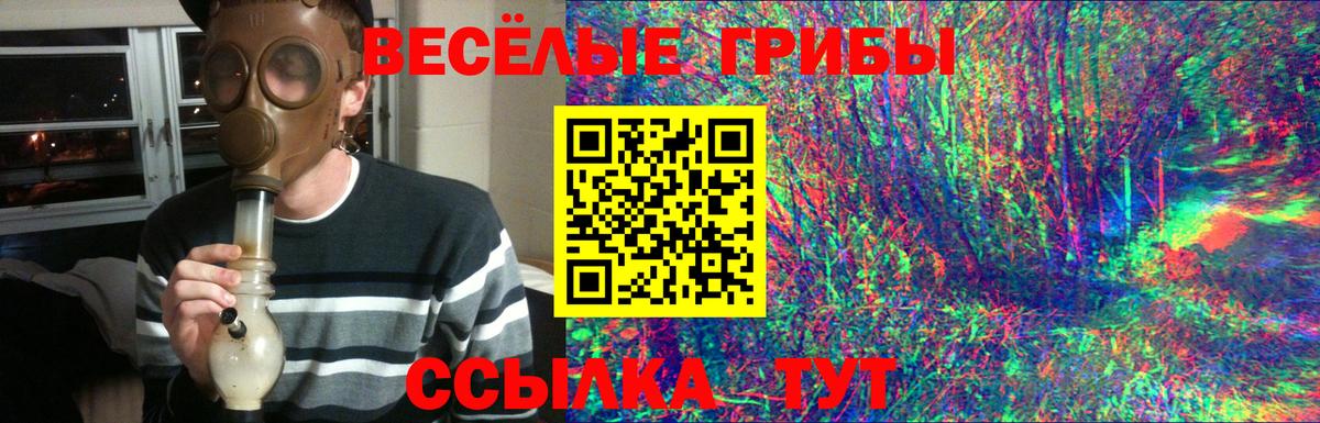 Славянск-на-Кубани  Галлюциногенные грибы Psilocybe  Вход с VPN 